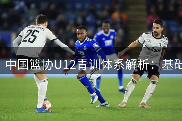 中国篮协U12青训体系解析：基础与团队并重的人才培养方案